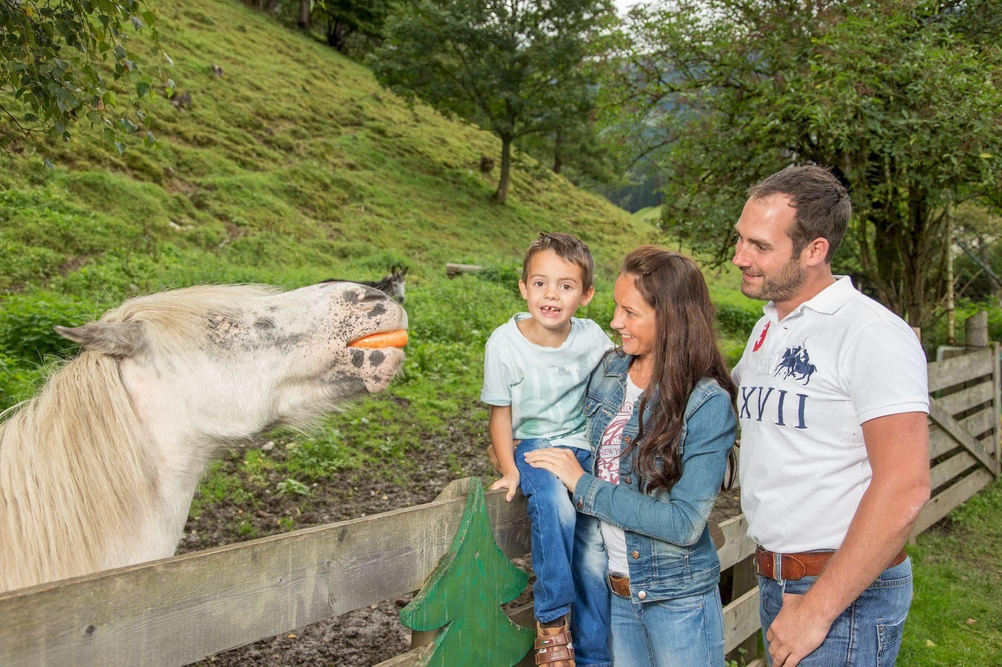 Hotel Stadt Wien Zell am See Ngoại thất bức ảnh